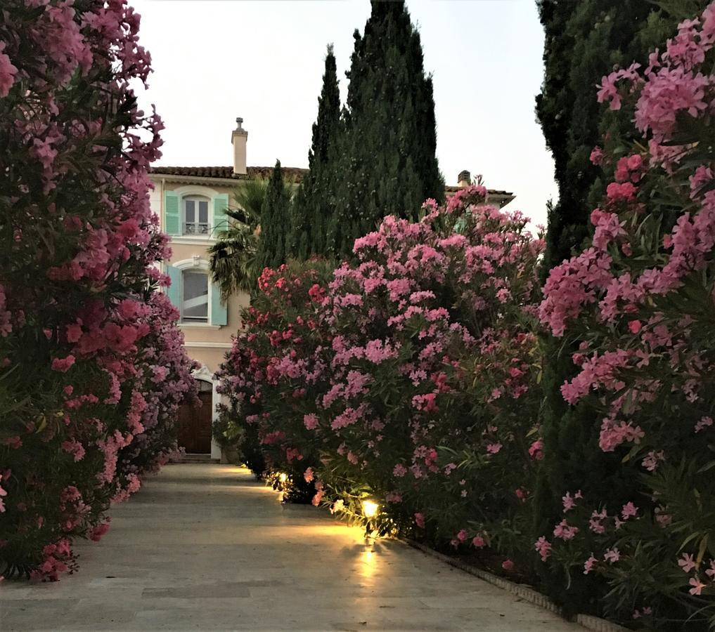 Bed and Breakfast Domaine de l'Aufrene Hyères Exterior foto